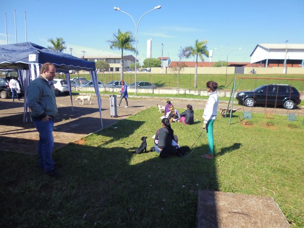 Juca acompanhou mutirão para castração de animais domésticos