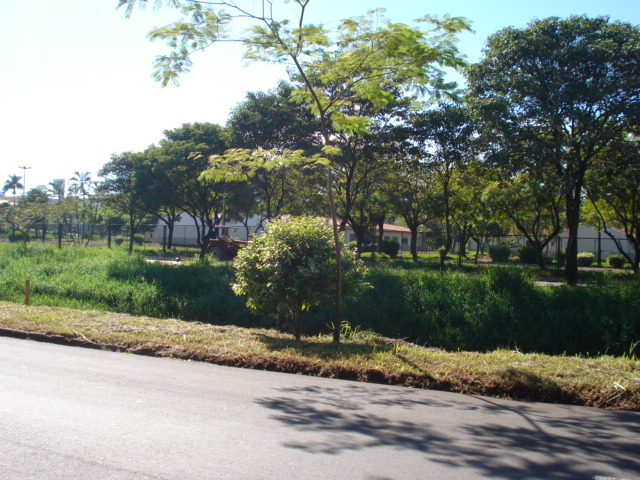 Margens do Ribeirão dos Toledos são roçadas a pedido de Anízio.