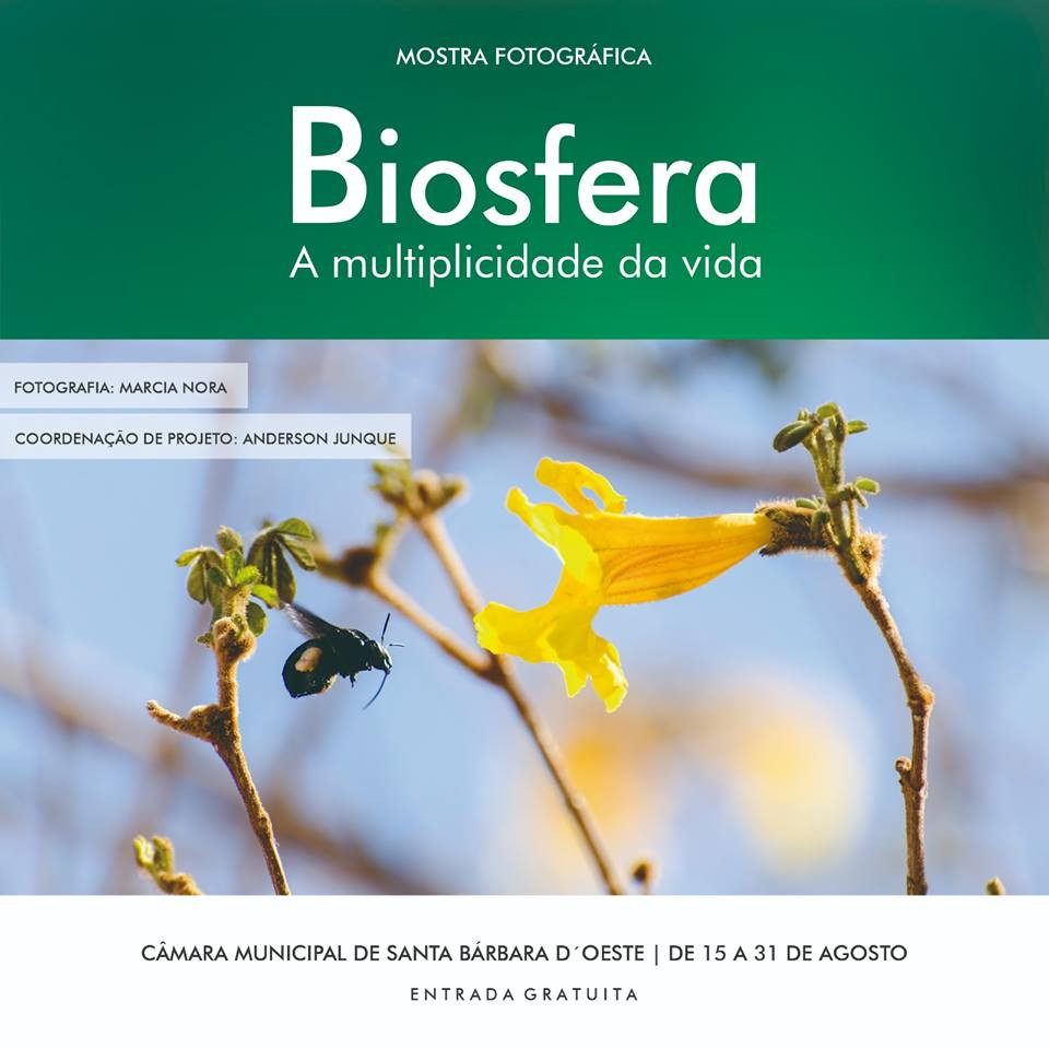 Câmara sedia mostra Biosfera - A multiplicidade da vida a partir do dia 15 deste mês