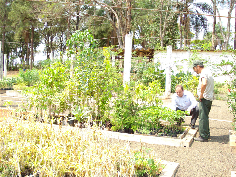 Juca visitou Viveiro Municipal e observou diversas variedades de mudas