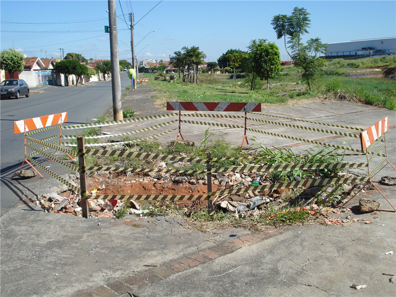 Parque dos Jacarandás.