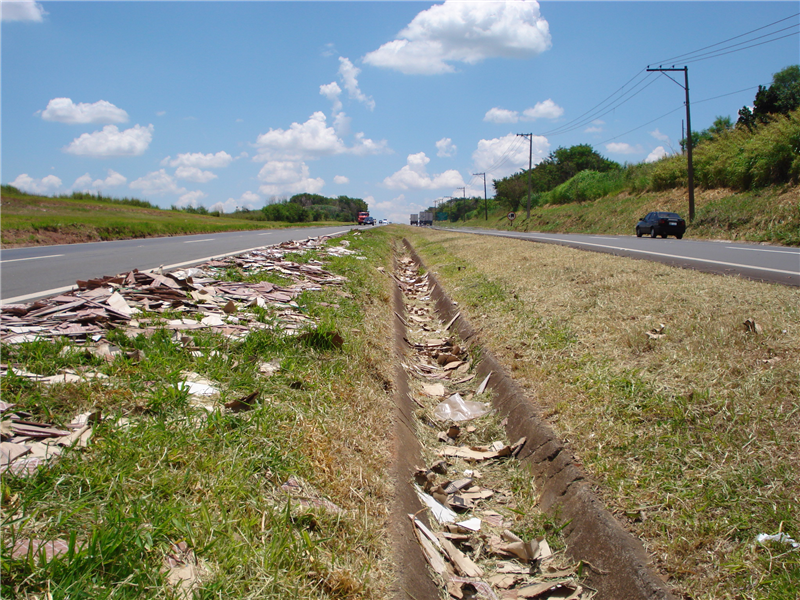 Juca pede limpeza do canteiro central da SP-304