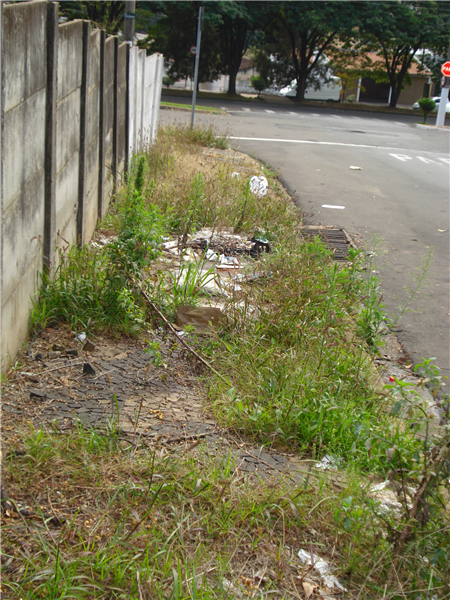 Juca acompanhou instalação de lombadas em rodovia no bairro Santo Antonio do Sapezeiro