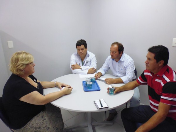 Vereadores em reunião com Grace Pfaffenbach.