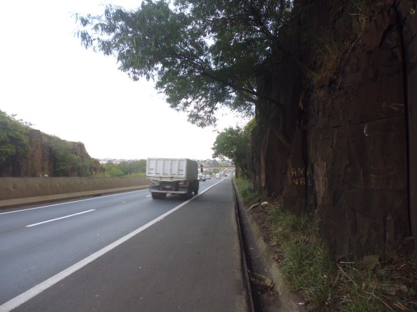 Motoristas temem queda de árvores sobre a rodovia SP-304 