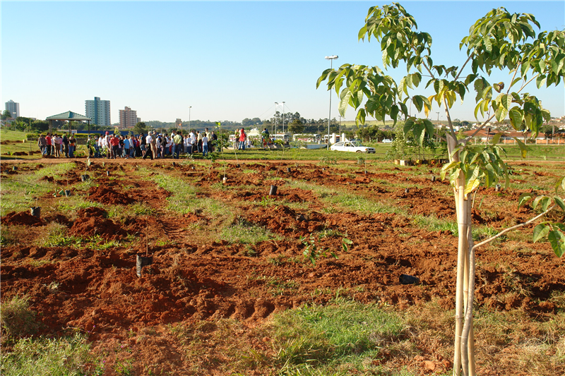 No ano passado, mudas foram plantadas no Parque Araçariguama