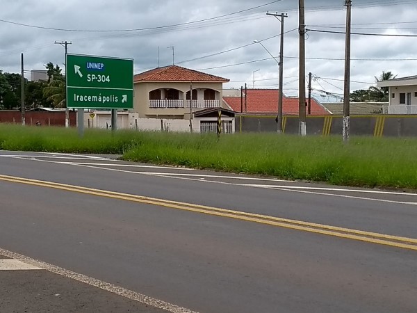 Motoristas e moradores da região reclamam do mato alto