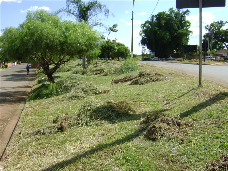 Limpeza em área verde do Jardim Baragim solicitada por Kadu.