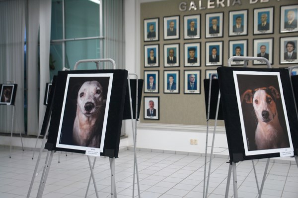 Exposição ficará aberta na Câmara até a próxima semana