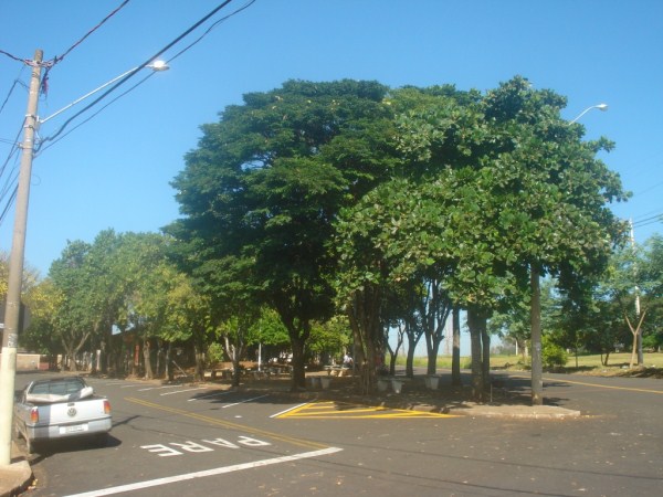 Parque do Siqueira Campos está totalmente escuro à noite